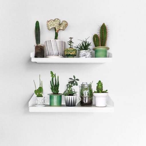 Set Estantes FIT Muett blanco con plantas y macetas de distintos tamaños instalado en pared